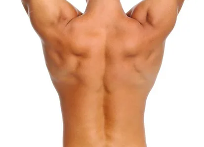 Upload visualization example showing body part selection