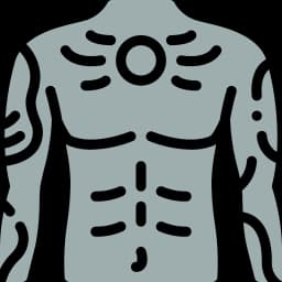 body